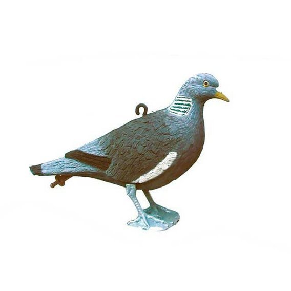 Holub hřivnáč  "Na stráži"-balabán